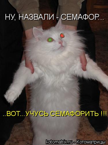4743317_Op (375x500, 26Kb)