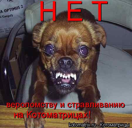 4743317_mI (450x437, 31Kb)