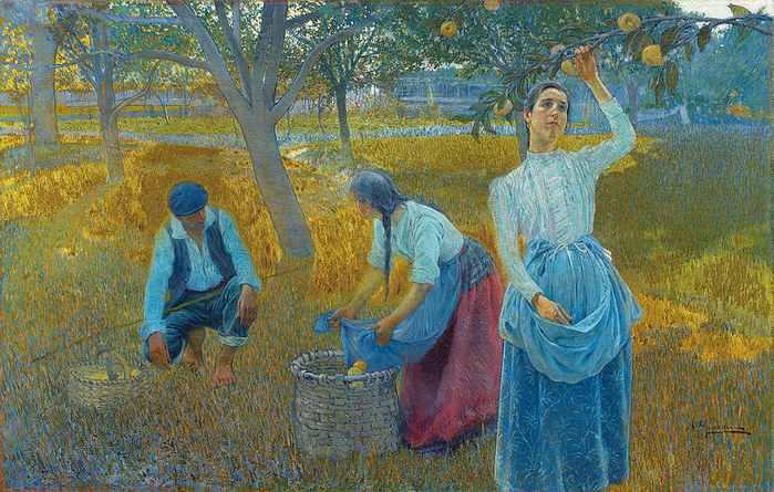 apple-harvest-anselmo-guinea (700x445, 673Kb)