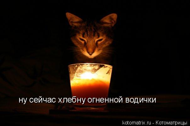 4743317_MhI (604x403, 19Kb)