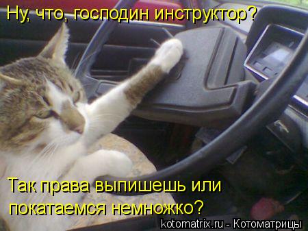 4743317_U (450x337, 32Kb)