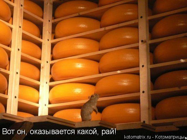 4743317_Za (640x480, 46Kb)