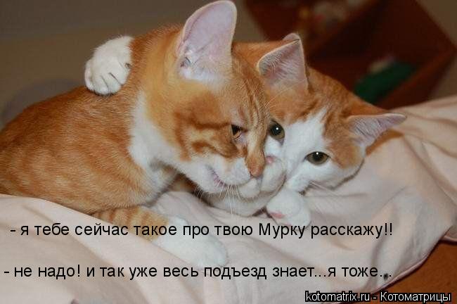 4743317_N2 (650x432, 38Kb)