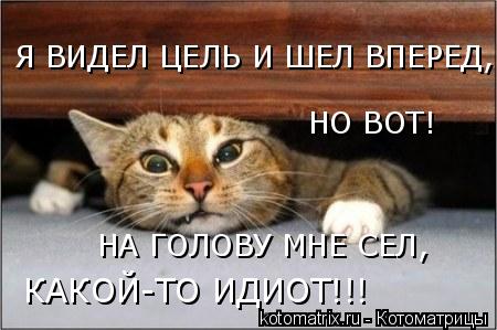 4743317_WA (450x299, 30Kb)