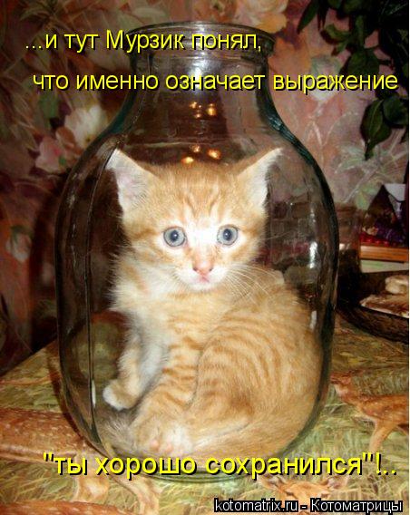4743317_mK (452x568, 58Kb)