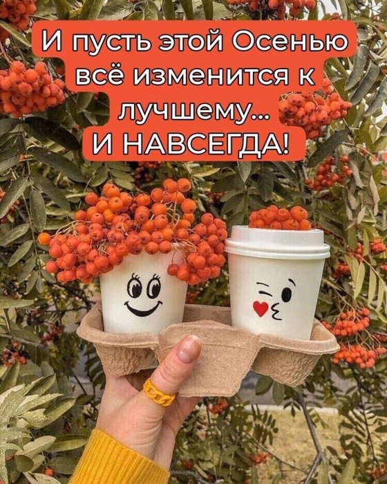 5152557_311526394_640121111027418_8281915118620013926_n (560x700, 358Kb)
