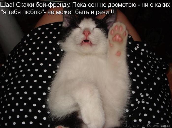 4743317_za (700x524, 49Kb)