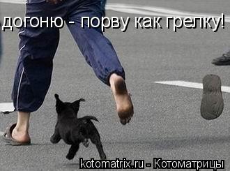 4743317_a (330x245, 18Kb)