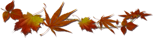я-листья (500x125, 73Kb)