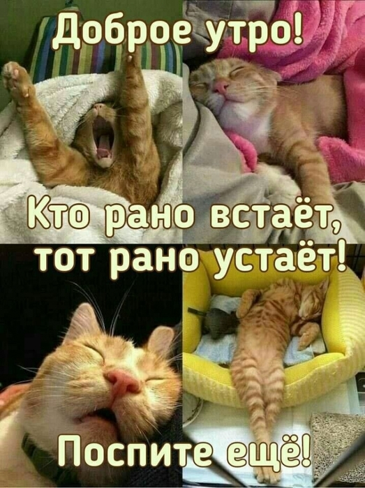4743317_IMG20230917WA0004 (523x700, 278Kb)
