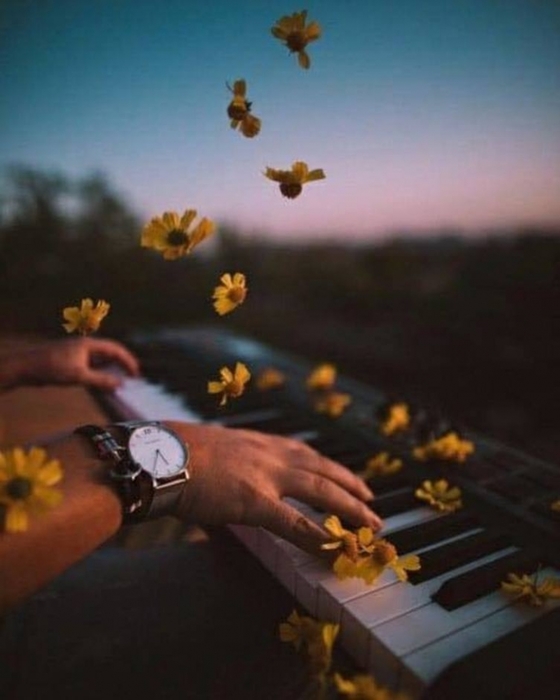 5152557_000aLqf (560x700, 163Kb)