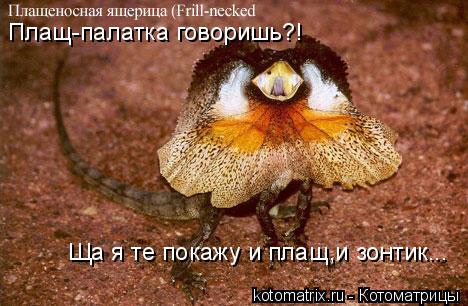 4743317_U (468x306, 40Kb)