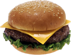 cheeseburger-1-kopija (250x192, 90Kb)