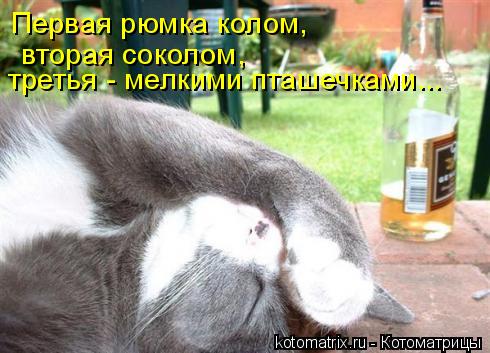 4743317_1C (490x353, 40Kb)