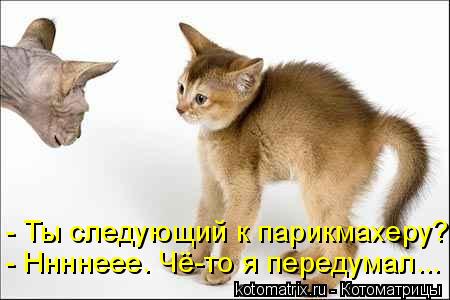 4743317_g_1 (450x300, 25Kb)