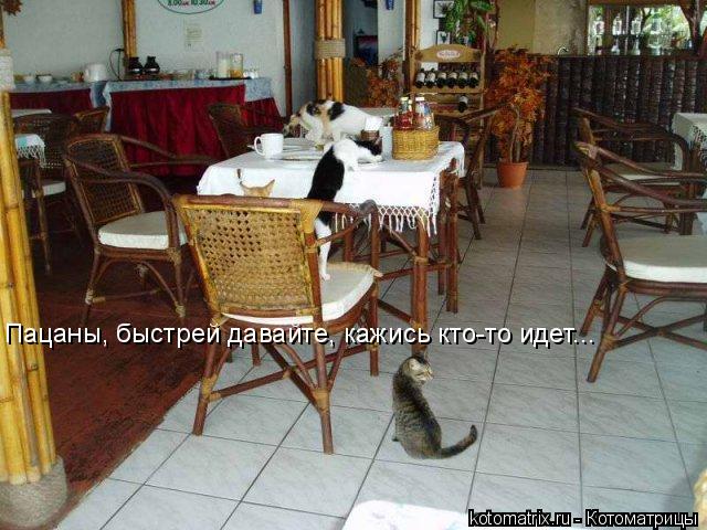 4743317_Nb (640x480, 66Kb)