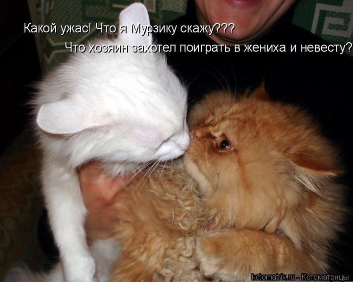 4743317_4G (700x560, 48Kb)