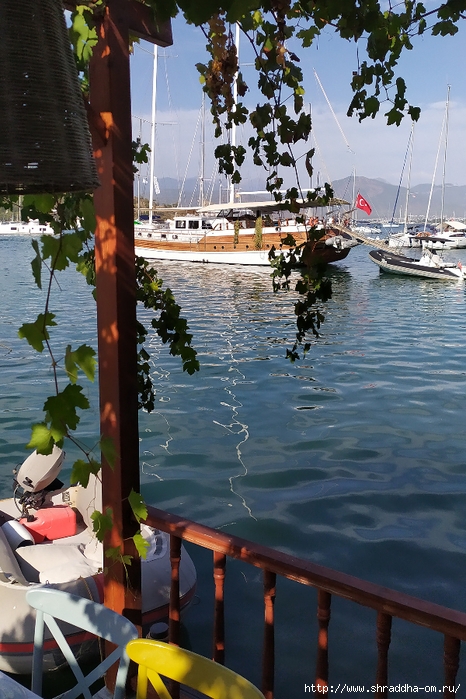 , , Fethiye, Turkey, Shraddhatravel 2023 (372) (466x700, 322Kb)