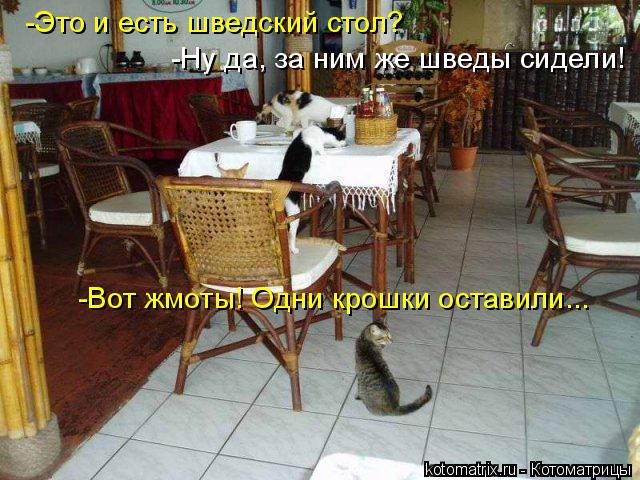 4743317_x (640x480, 73Kb)