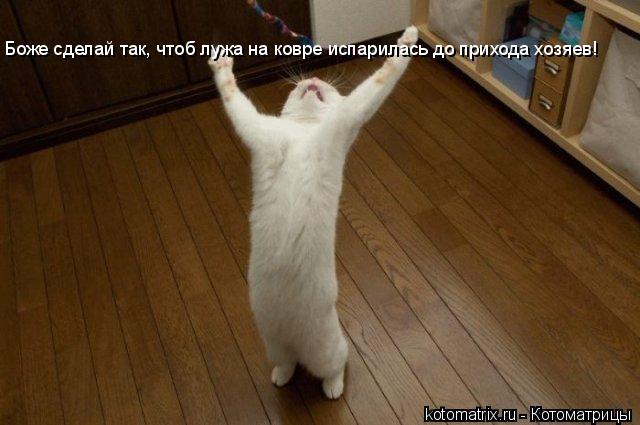 4743317_zN (640x425, 41Kb)