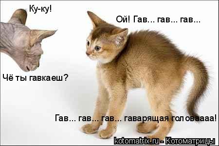4743317_sf (450x300, 22Kb)