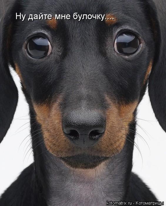 4743317_mm (565x700, 62Kb)