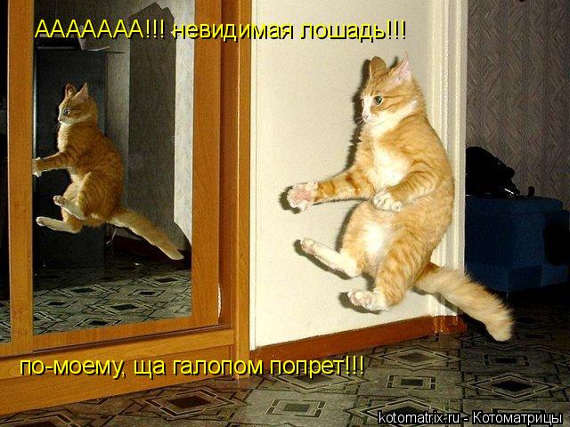 4743317_2E (640x480, 66Kb)
