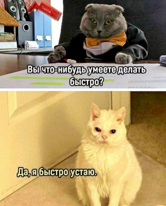 4743317_172d92aa (563x700, 241Kb)