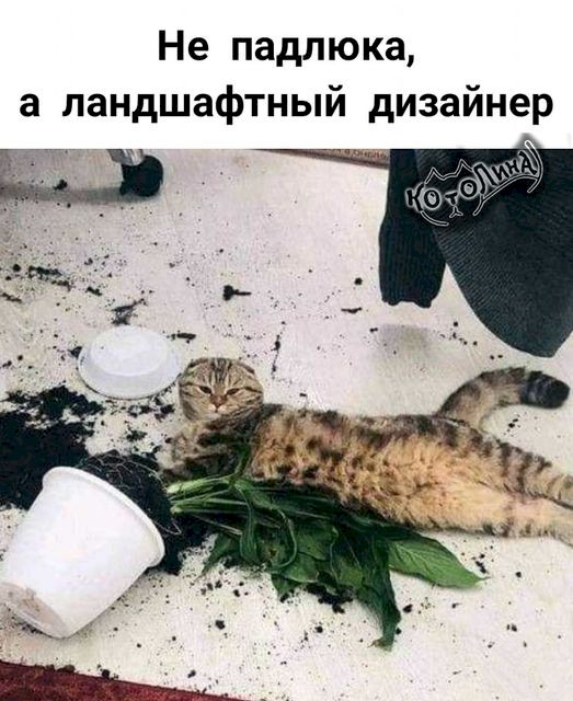 4743317_88535642 (523x640, 81Kb)