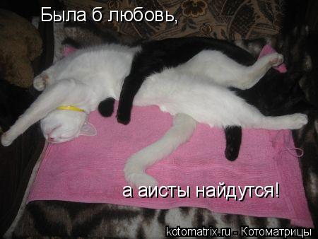 4743317_Cx (450x338, 25Kb)