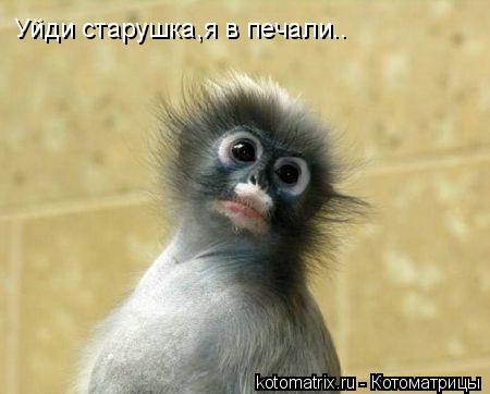 4743317_V (450x362, 22Kb)