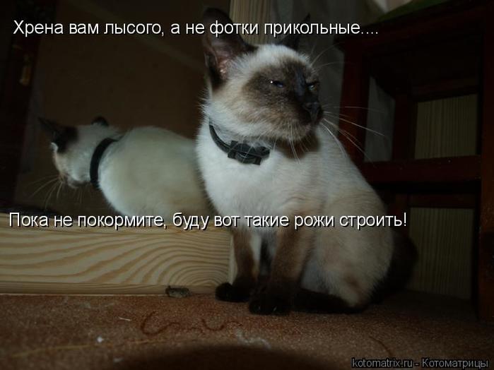 4743317_cu (700x524, 38Kb)
