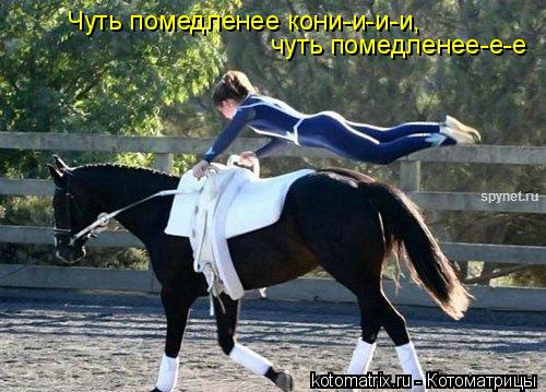 4743317_yH (500x359, 48Kb)