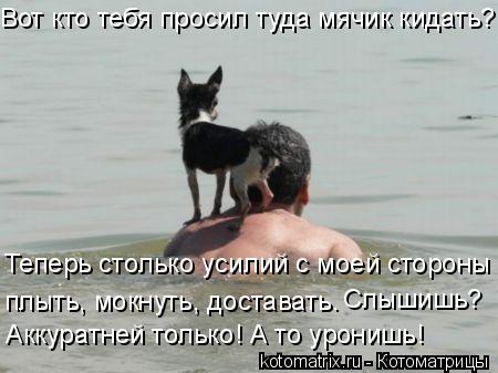 4743317_J6 (450x337, 28Kb)