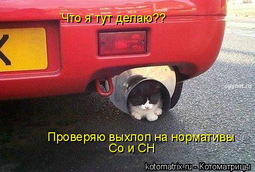 4743317_G3 (500x338, 42Kb)