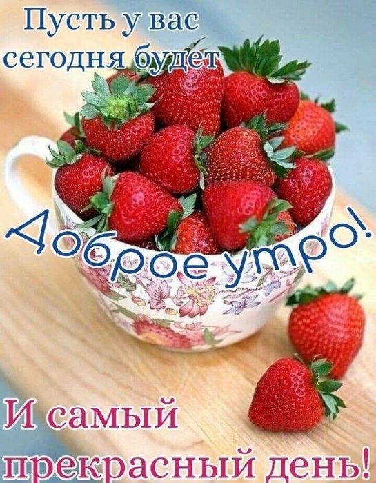 4743317_image20210703_09_26_43 (545x700, 305Kb)