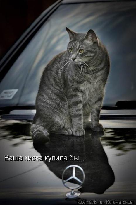 4743317_SX (465x700, 38Kb)