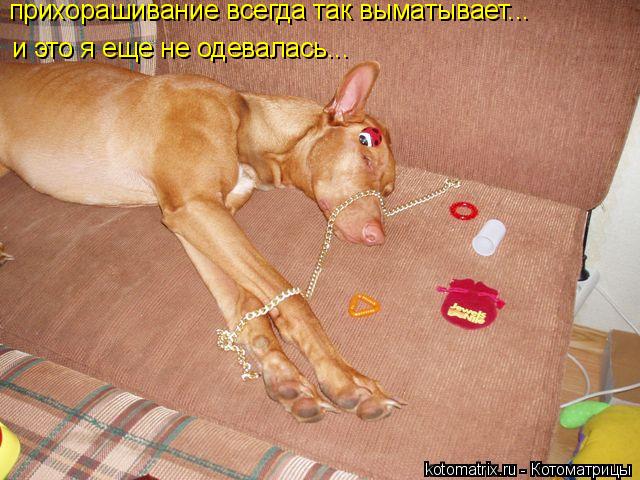 4743317_sS (640x480, 66Kb)
