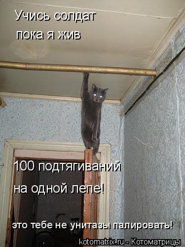 4743317_PN (375x500, 35Kb)