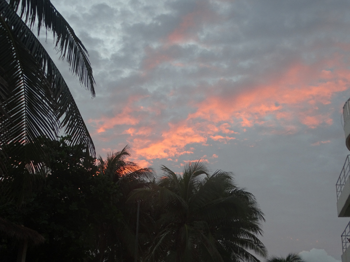DSC00379 (700x525, 327Kb)