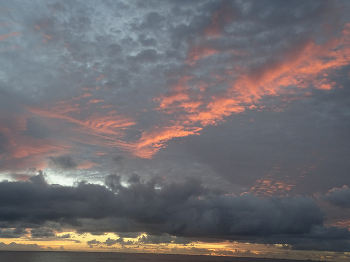 DSC00386 (700x525, 308Kb)