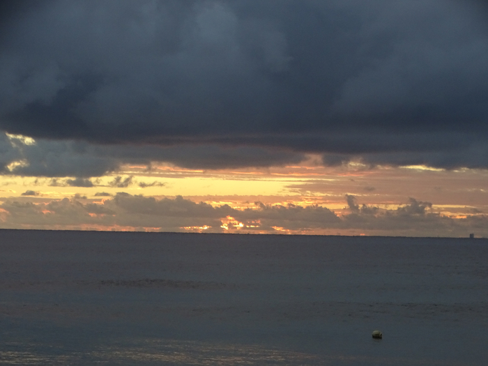 DSC00387 (700x525, 271Kb)
