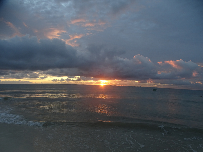 DSC00400 (700x525, 302Kb)