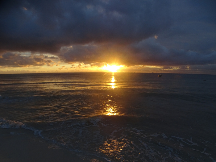 DSC00405 (700x525, 313Kb)