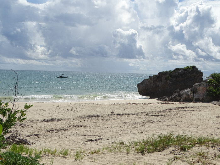 DSC00466 (700x525, 411Kb)