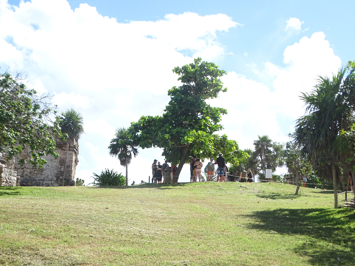 DSC00494 (700x525, 441Kb)