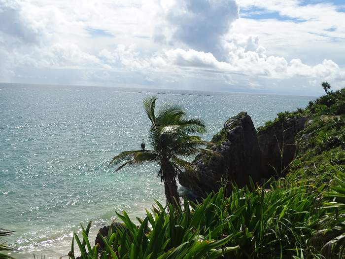 DSC00506 (700x525, 461Kb)