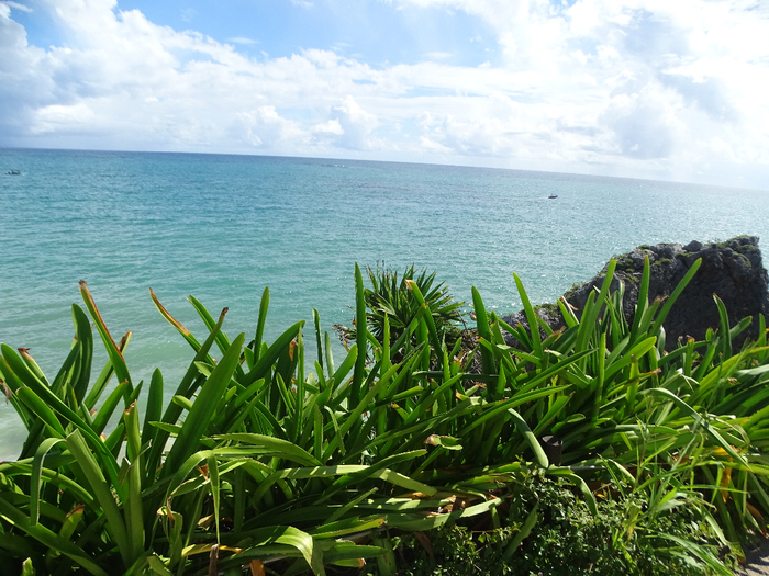 DSC00507 (700x525, 495Kb)