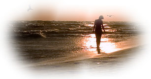 108765203_large_65051838_47321477_12 (307x160, 108Kb)