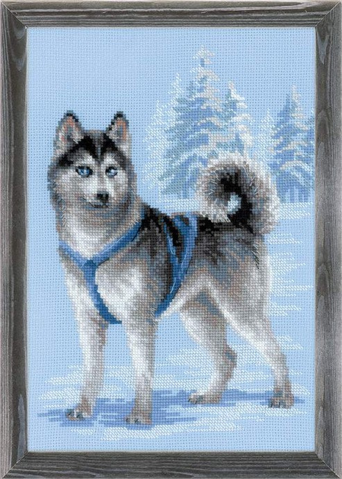 5774028_haski1 (493x690, 128Kb)